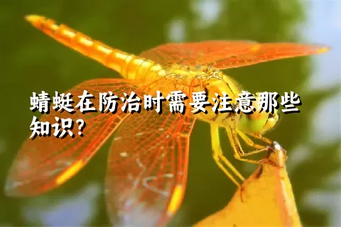 蜻蜓在防治时需要注意那些知识？