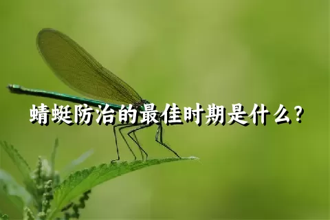 蜻蜓防治的最佳时期是什么？