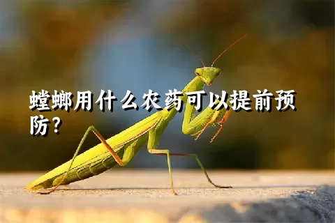 螳螂用什么农药可以提前预防？