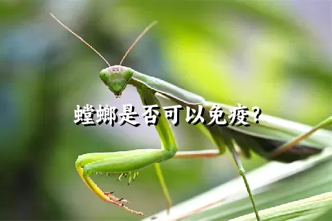 螳螂是否可以免疫？