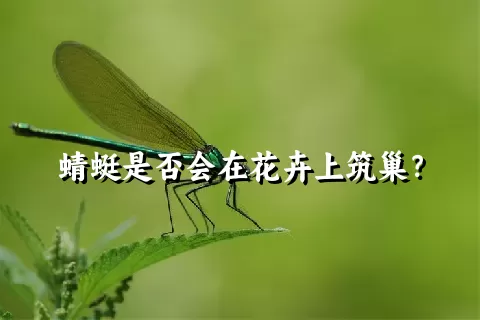 蜻蜓是否会在花卉上筑巢？