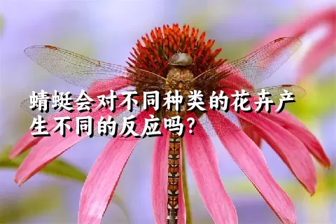 蜻蜓会对不同种类的花卉产生不同的反应吗？