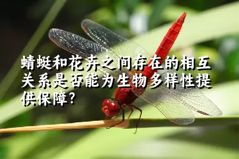 蜻蜓和花卉之间存在的相互关系是否能为生物多样性提供保障？