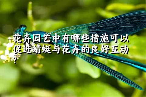 花卉园艺中有哪些措施可以促进蜻蜓与花卉的良好互动？