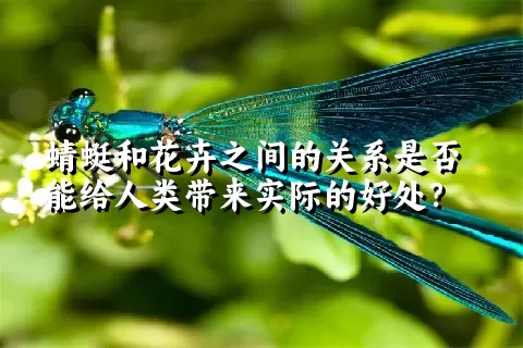 蜻蜓和花卉之间的关系是否能给人类带来实际的好处？