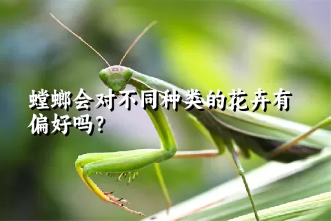 螳螂会对不同种类的花卉有偏好吗？