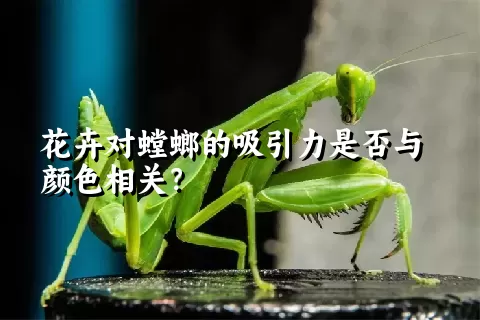 花卉对螳螂的吸引力是否与颜色相关？