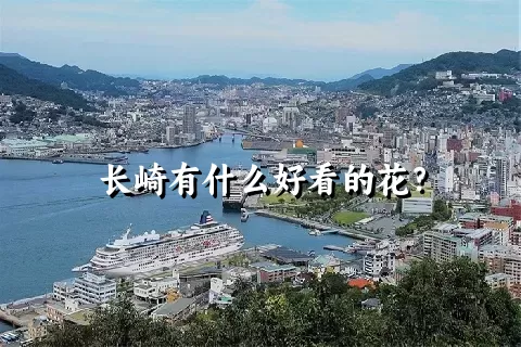 长崎有什么好看的花？