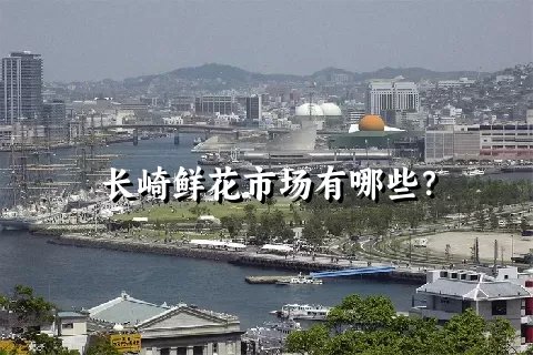 长崎鲜花市场有哪些？