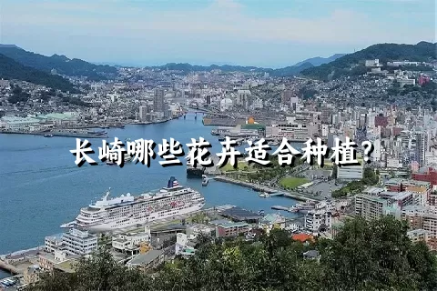 长崎哪些花卉适合种植？