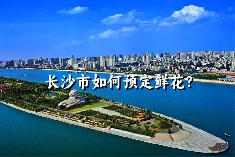 长沙市如何预定鲜花？