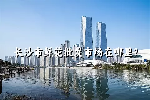 长沙市鲜花批发市场在哪里？