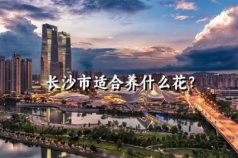 长沙市适合养什么花？