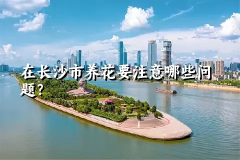 在长沙市养花要注意哪些问题？