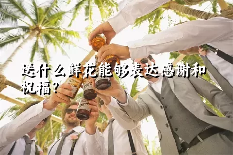 送什么鲜花能够表达感谢和祝福？