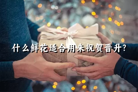 什么鲜花适合用来祝贺晋升？