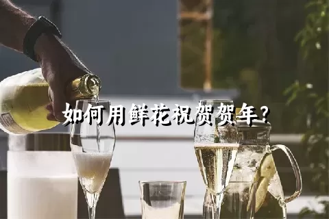 如何用鲜花祝贺贺年？