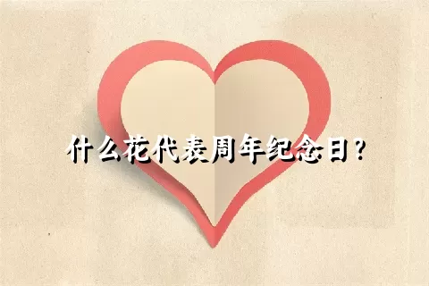 什么花代表周年纪念日？