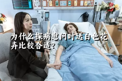 为什么探病慰问时送白色花卉比较合适？