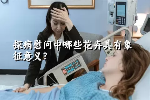 探病慰问中哪些花卉具有象征意义？