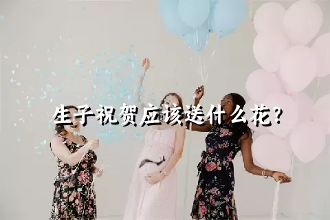 生子祝贺应该送什么花？