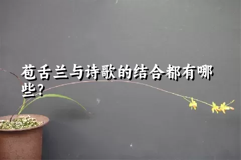 苞舌兰与诗歌的结合都有哪些？