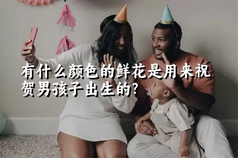 有什么颜色的鲜花是用来祝贺男孩子出生的？