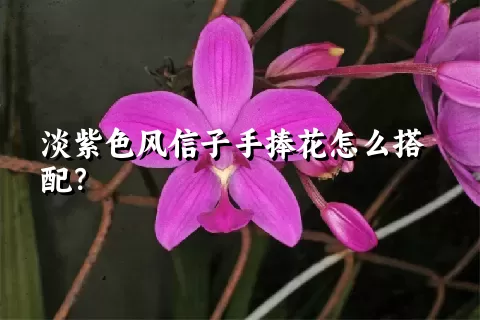 淡紫色风信子手捧花怎么搭配？