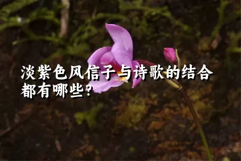 淡紫色风信子与诗歌的结合都有哪些？