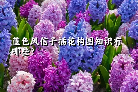 蓝色风信子插花构图知识有哪些？