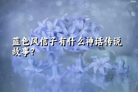 蓝色风信子有什么神话传说故事？