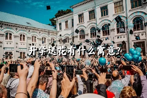 升学送花有什么寓意？