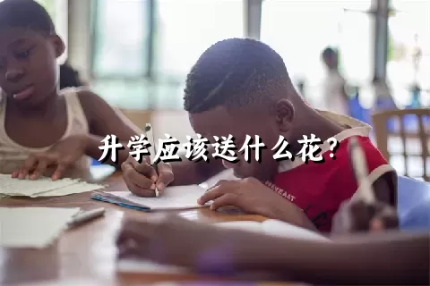 升学应该送什么花？