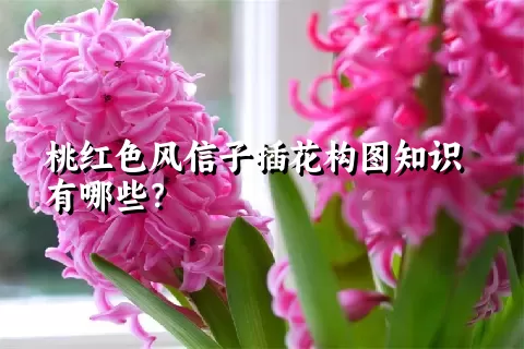 桃红色风信子插花构图知识有哪些？