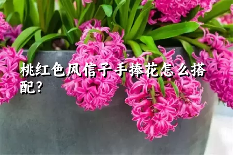 桃红色风信子手捧花怎么搭配？