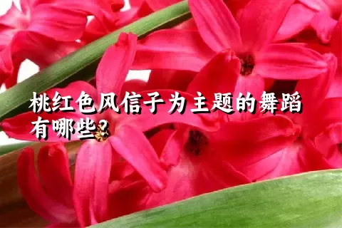 桃红色风信子为主题的舞蹈有哪些？