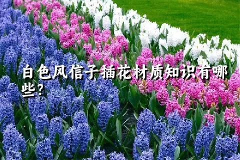 白色风信子插花材质知识有哪些？