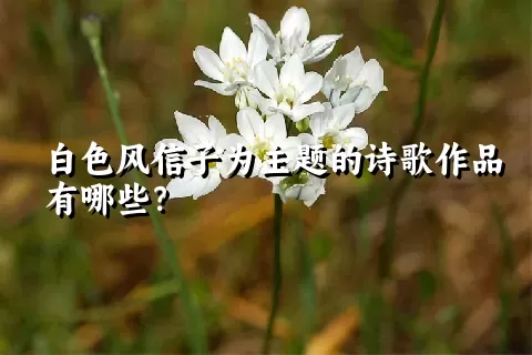 白色风信子为主题的诗歌作品有哪些？