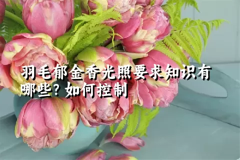 羽毛郁金香光照要求知识有哪些？如何控制