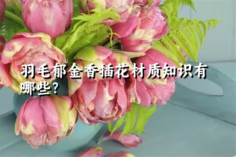 羽毛郁金香插花材质知识有哪些？