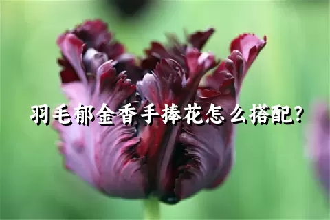 羽毛郁金香手捧花怎么搭配？