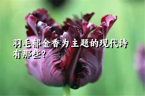 羽毛郁金香为主题的现代诗有那些？