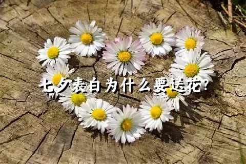 七夕表白为什么要送花？