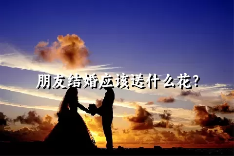 朋友结婚应该送什么花？