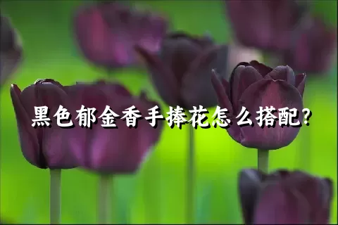 黑色郁金香手捧花怎么搭配？