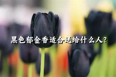 黑色郁金香适合送给什么人？