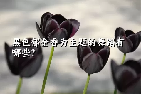 黑色郁金香为主题的舞蹈有哪些？