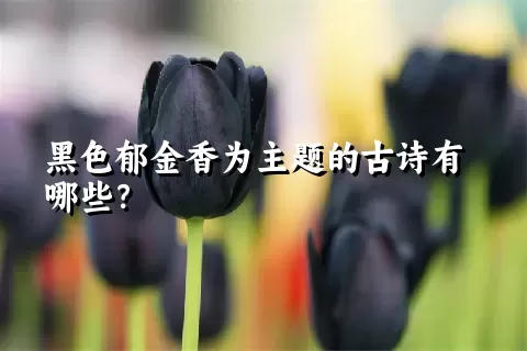 黑色郁金香为主题的古诗有哪些？