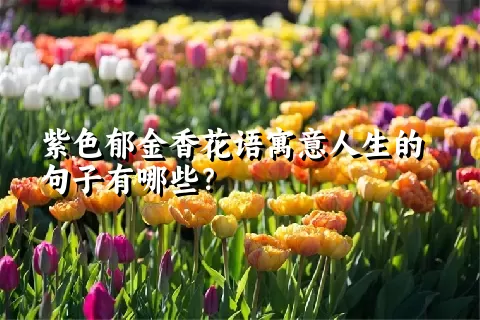 紫色郁金香花语寓意人生的句子有哪些？