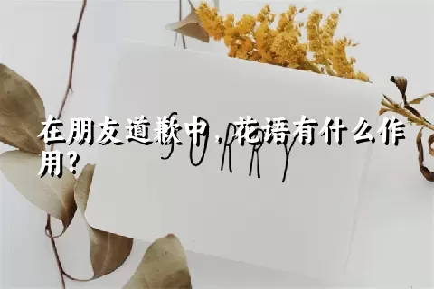 在朋友道歉中，花语有什么作用?